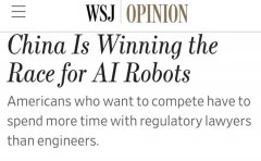 售价5900美元（约合42005人平易近币）的先辈人形