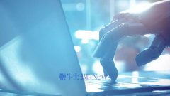 芯片供应、能源根本设备和软件研发的边际收益